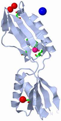 Image Biol. Unit 1 - sites