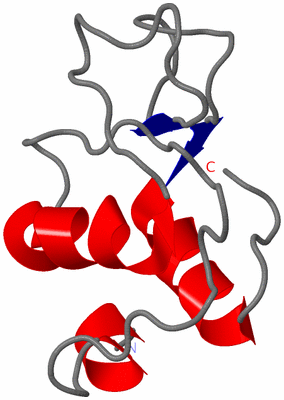 Image NMR Structure - model 1