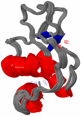 Image NMR Structure - all models