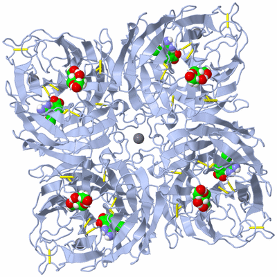 Image Biological Unit 1