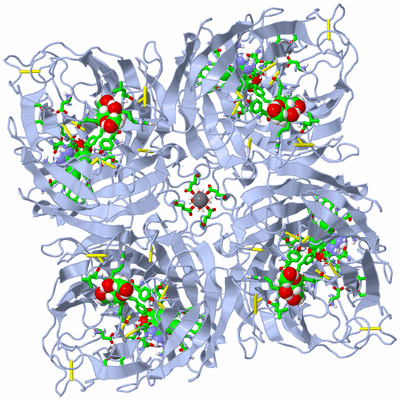 Image Biol. Unit 1 - sites