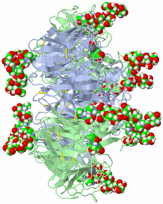 Image Biological Unit 1