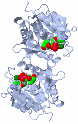 Image Biological Unit 1