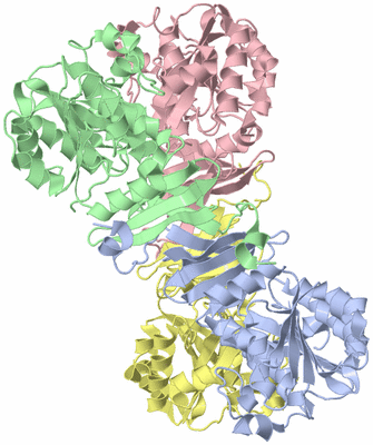 Image Asym./Biol. Unit