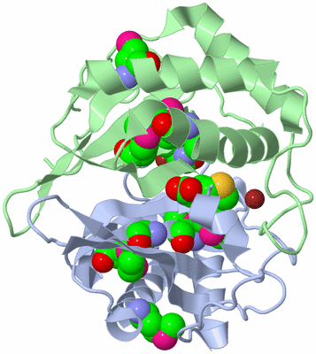 Image Asym./Biol. Unit