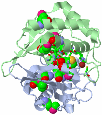 Image Asym./Biol. Unit - sites