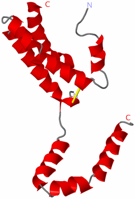 Image Asymmetric Unit