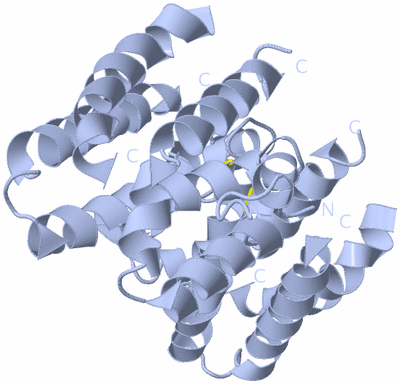 Image Biological Unit 1