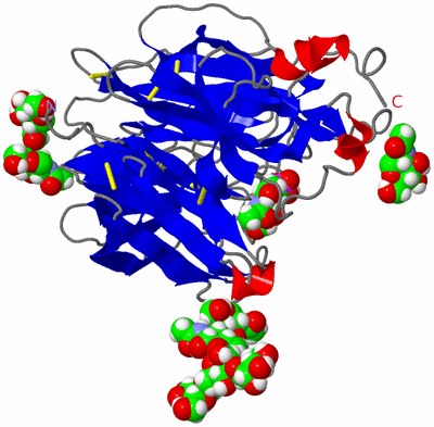 Image Asym./Biol. Unit