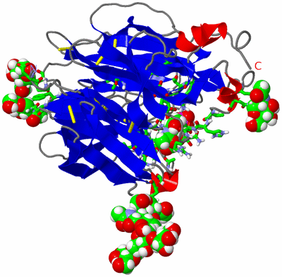 Image Asym./Biol. Unit - sites