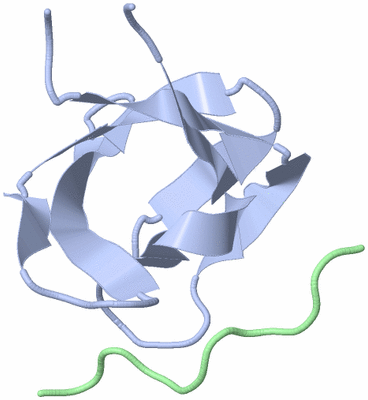 Image NMR Structure - model 1