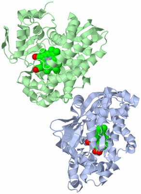 Image Asymmetric Unit