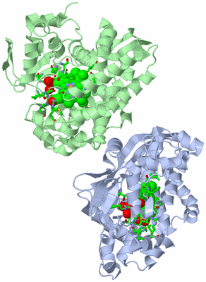 Image Asym. Unit - sites