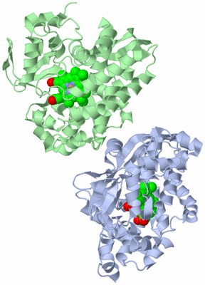 Image Asymmetric Unit