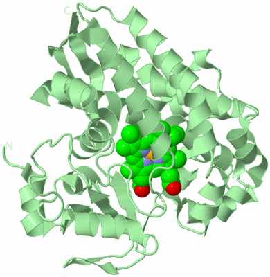 Image Biological Unit 2