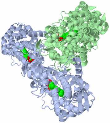 Image Biological Unit 3