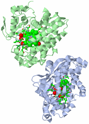 Image Asym. Unit - sites