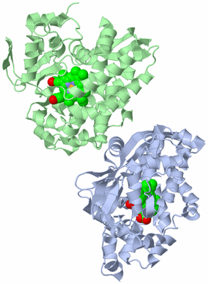 Image Asymmetric Unit