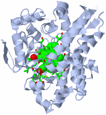 Image Biol. Unit 1 - sites