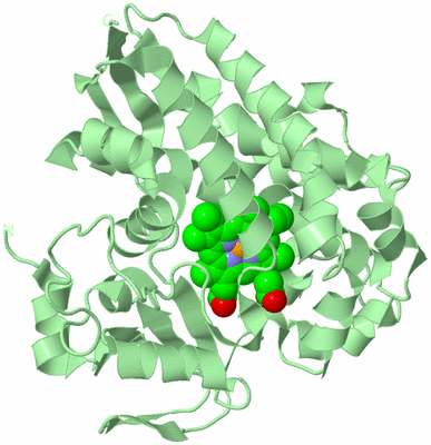 Image Biological Unit 2