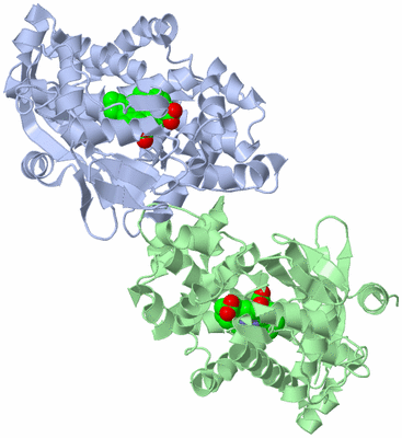 Image Biological Unit 3