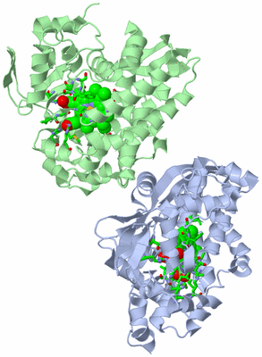 Image Asym. Unit - sites