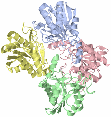 Image Asym./Biol. Unit