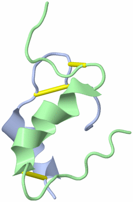 Image NMR Structure - model 1