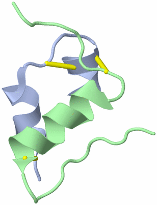 Image NMR Structure - model 1