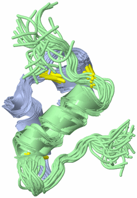 Image NMR Structure - all models