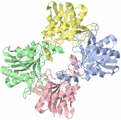 Image Asym./Biol. Unit