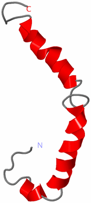 Image NMR Structure - model 1