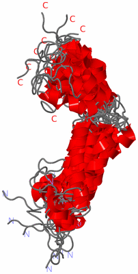 Image NMR Structure - all models