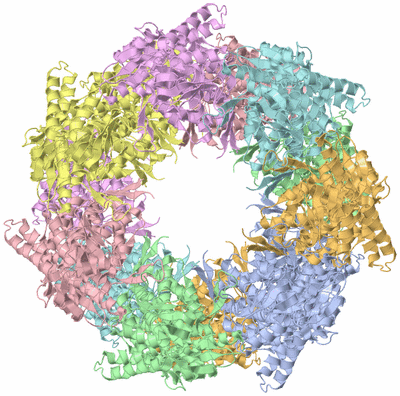 Image Biological Unit 2