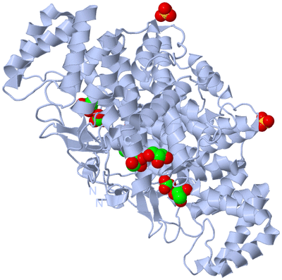 Image Biological Unit 1