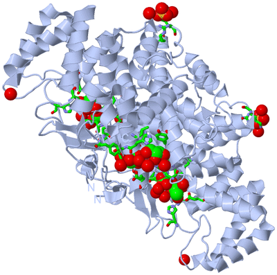 Image Biol. Unit 1 - sites