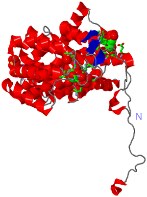 Image Asym. Unit - sites