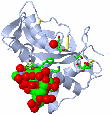 Image Biol. Unit 1 - sites