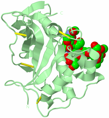 Image Biological Unit 2