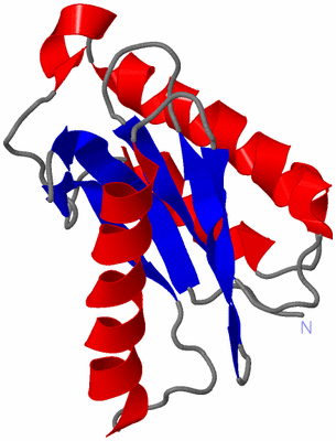 Image NMR Structure - model 1