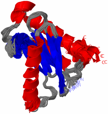 Image NMR Structure - all models