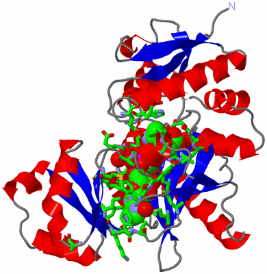 Image Asym./Biol. Unit - sites