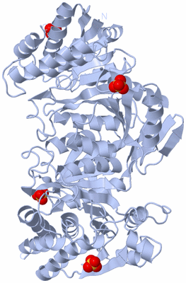 Image Biological Unit 1