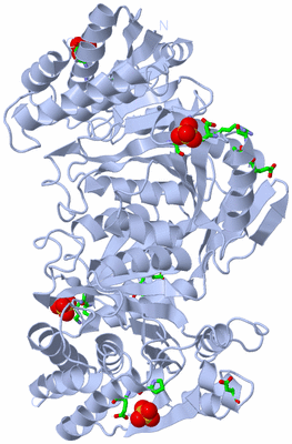 Image Biol. Unit 1 - sites