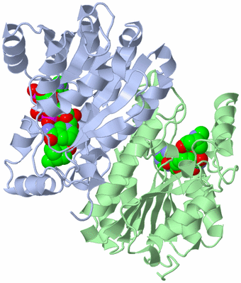 Image Biological Unit 1