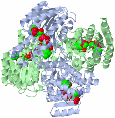 Image Biological Unit 2