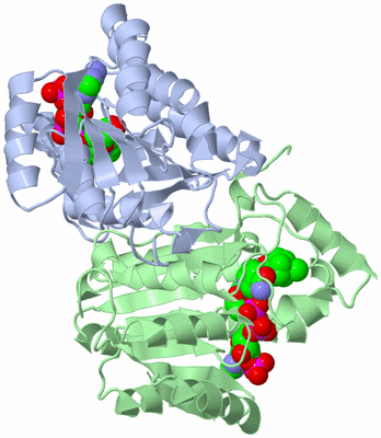 Image Biological Unit 3