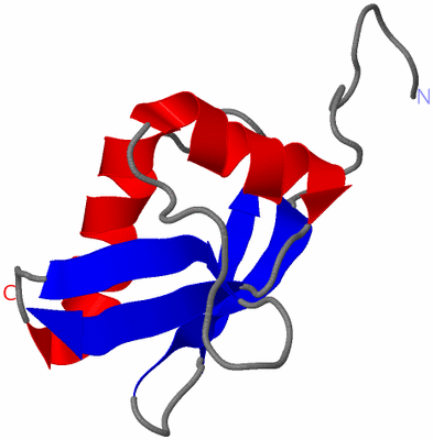 Image NMR Structure - model 1