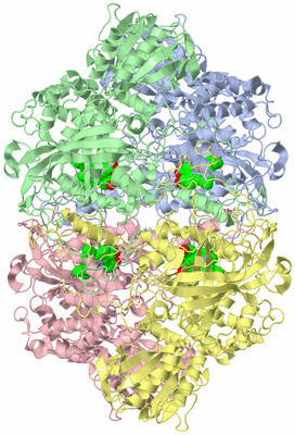 Image Asym./Biol. Unit