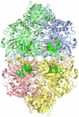 Image Asym./Biol. Unit - sites